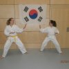 Taekwondo Training